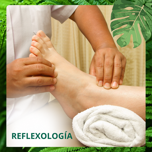 Neuroreflexología + Detox Iónico