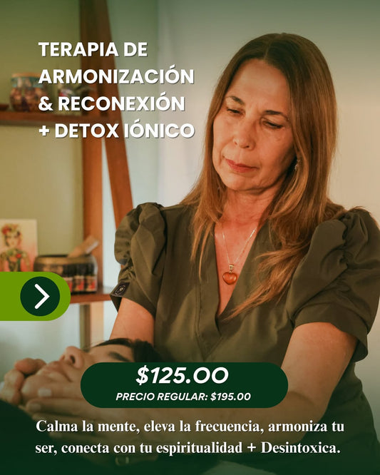 Armonización y Reconexión